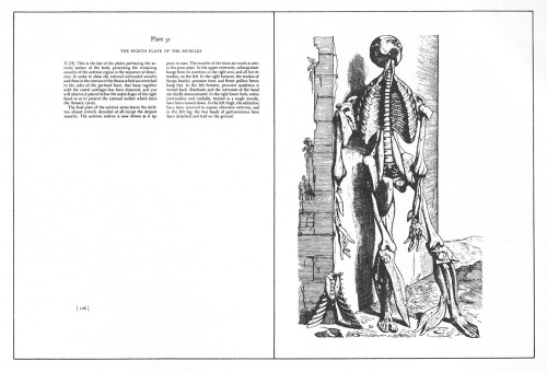 The Illustrations from the Works of Andreas Vesalius of Brussels
