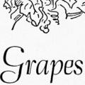 Grapes and Wines from Home Vineyards