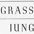 Grassroot Jungles, A Book of Insects