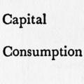 Capital Consumption and Adjustment
