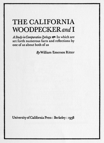 The California Woodpecker and I, A Study in Comparative Zoölogy