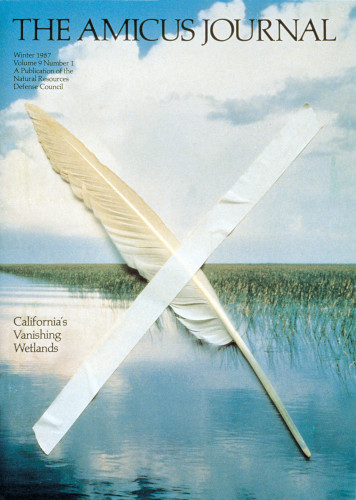 The Amicus Journal, California’s Vanishing Wetlands