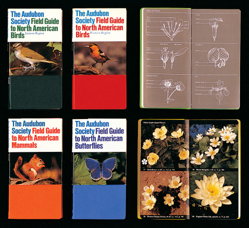 Audobon Society Field Guides