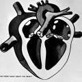 Heart: Anatomy, Function and Diseases