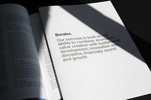 Boralex 2008 Annual Report