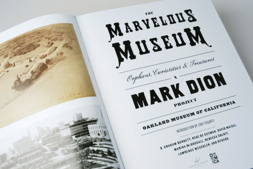 The Marvelous Museum