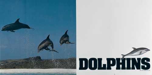 Nautical Quarterly 8 (spread), Dolphins