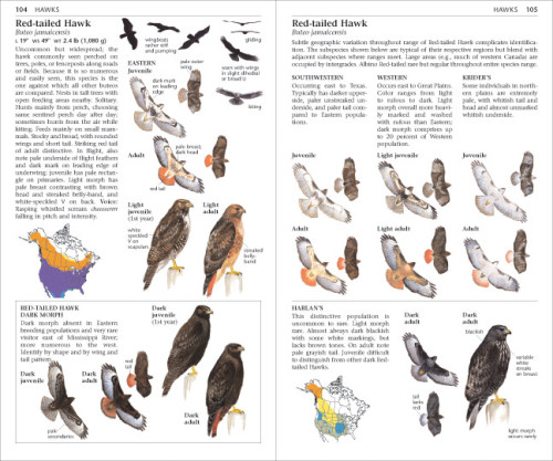Sibley Field Guide to Birds of Eastern/Western North America