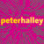 Peter Halley: Maintain Speed