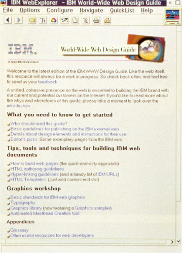 IBM Internet Website Design Guideline
