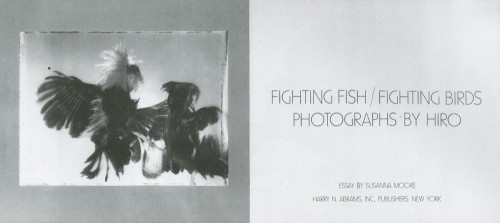 Fighting Fish/Fighting Birds: Photographs By Hiro