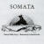 Somata