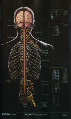 Central Nervous System, Lioresal & Tegretol