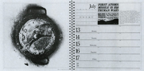 The New York Times 1981 Appointment Calendar