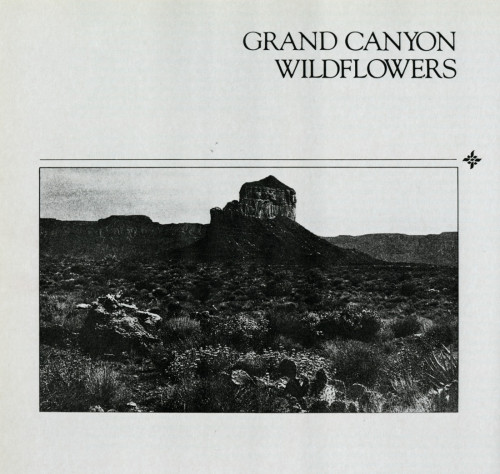 Grand Canyon Wildflowers