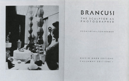 Brancusi: The Sculptor as Photographer