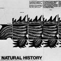 American Museum of Natural History, poster