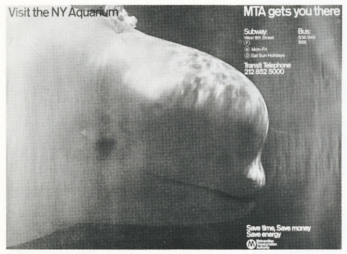 Visit the NY Aquarium, MTA Gets You There, poster