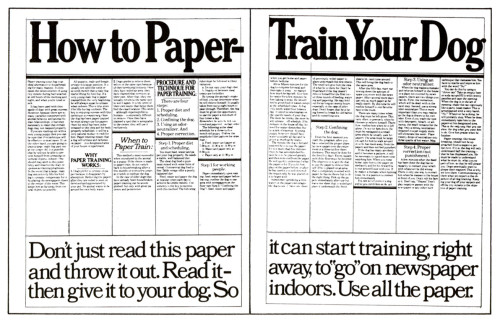 First, read this newspaper. Then give it to your dog. newspaper