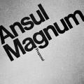 Ansul Magnum Proposal, brochure, folder and box