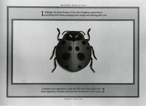 Brigham’s Book of Bugs, Ladybugs
