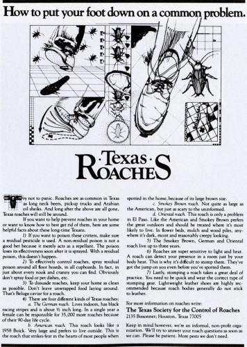 Texas Roaches