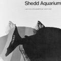 Shedd Aquarium, poster