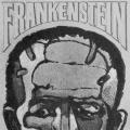 Frankenstein, paperback cover