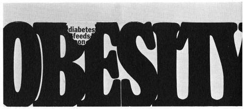 Diabetes Feeds on Obesity, sample mailing kit