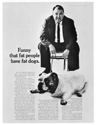 “Funny that fat people have fat dogs”