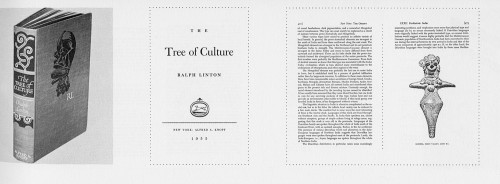 The Tree of Culture