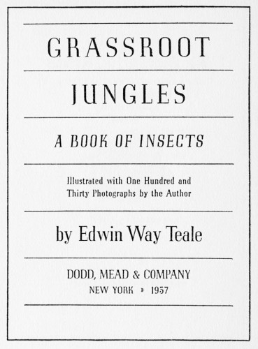 Grassroot Jungles, A Book of Insects