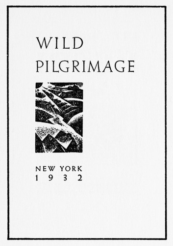 Wild Pilgrimage: A Novel in Woodcuts