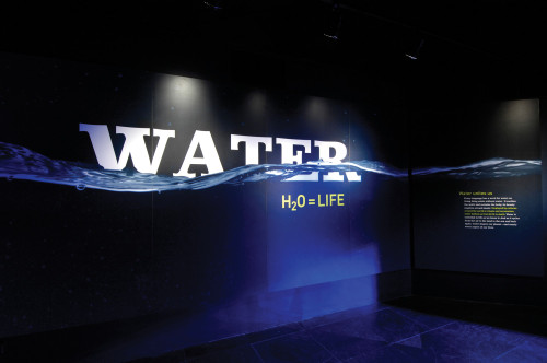 Water: H2O = Life