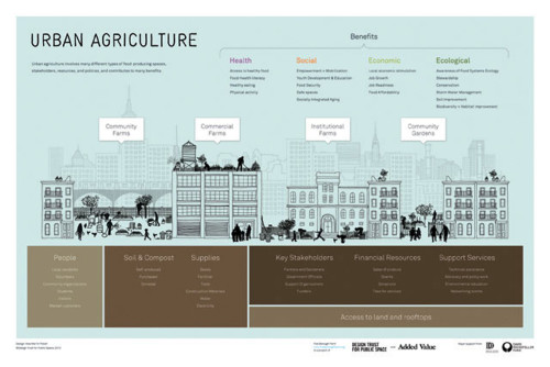 Five Borough Farm: Seeding the Future of Urban Agriculture