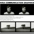 1973–1974 AIGA Mail Promotion Card